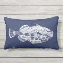 Recherche de poissons tropicaux coussins Littoral