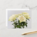 Recherche de roses blanches cartes postales Pour tous