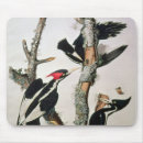 Recherche de audubon tapis souris John