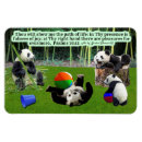 Recherche de panda magnete Bambou