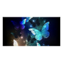 Recherche de lucioles posters Brille