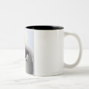 Recherche de poussins tasses Animaux