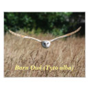 Recherche de chouettes posters Faune