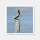 Zoek naar pelikaan servetten Luiers