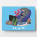 Recherche de requins plaques Océan