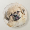 Recherche de tibétain coussins Tibbie