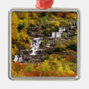 Recherche de cascades ornements Glacier