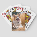 Recherche de animal de jeux de cartes Chat