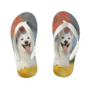 Zoek naar berger kleding Huisdier