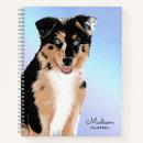 Recherche de berger australien Mignonne