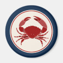 Recherche de crabe rouge magnets Plage