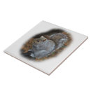 Recherche de oriental carreaux Nature