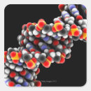 Recherche de adn autocollants Biologie