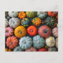 Recherche de gourde cartes postales Citrouille