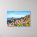 Recherche de fleur couvrante Plage