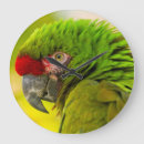Recherche de ara horloges Oiseau