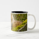 Recherche de rouge épaulé tasses Faune