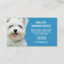 Recherche de animaux familiers cartes visite Salon