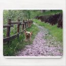 Zoek naar yorkshire muismatten Puppy