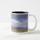 Recherche de les etats unis tasses Nature