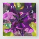 Recherche de iris horloges Floral