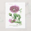 Recherche de opium cartes postales Floral