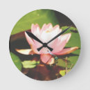 Recherche de waterlily Nature
