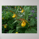 Recherche de pantoufle posters Nature