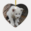 Recherche de roi de lion ornements Lions