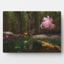 Recherche de sakura plaques Rose