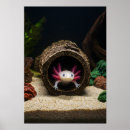 Recherche de enfant e art Animal