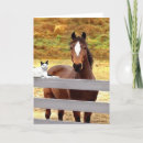 Recherche de chat minou vœux cartes Chats