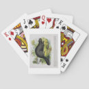 Recherche de castor jeux de cartes Animaux