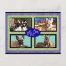 Recherche de bouledogues cartes postales Frenchie
