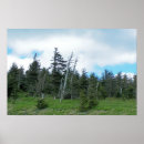 Recherche de sommet montagne posters Nature