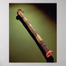 Zoek naar riet posters Egyptisch