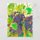 Recherche de raisins vigne cartes postales Feuille