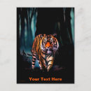 Recherche de orange chat tigré cartes postales Chats