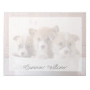 Zoek naar animal notitieblokken Pembroke welsh corgi