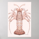 Recherche de homard vintage posters Crustacés