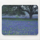Recherche de bleuet tapis souris Arbre