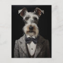 Recherche de noeud cartes postales Gris