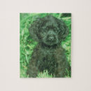 Zoek naar cocker spaniel puzzels Puppy