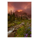 Recherche de pré posters Fleur
