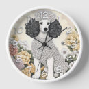 Recherche de poodle Caniche blanc