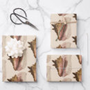 Recherche de escargot papier cadeau Coquillages