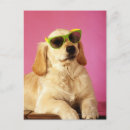 Recherche de lunettes roses cartes postales Animal