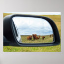 Zoek naar spiegel posters Boerderij
