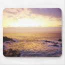 Recherche de atlantique tapis souris Nature