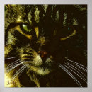 Zoek naar hypnotiseren posters Hypnose